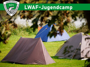 Read more about the article Jugendangelcamp am Lippesee
